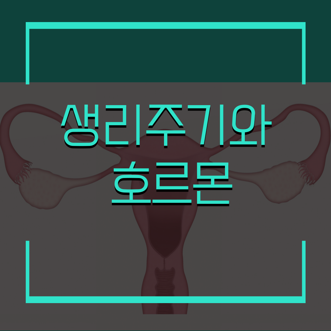 달서구월배생리주기,여성배란기,여성생리주기
