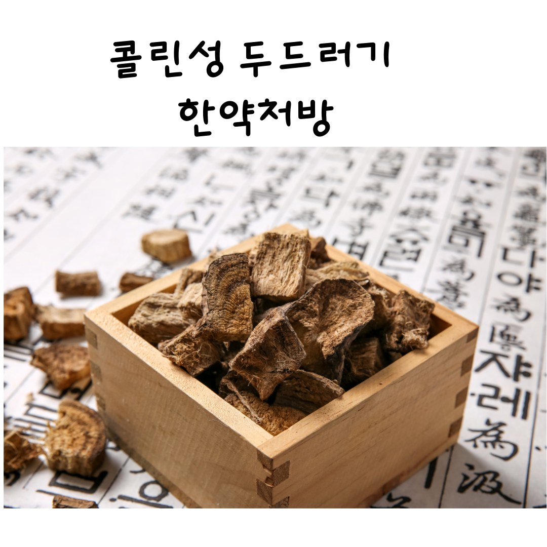 두드러기한약