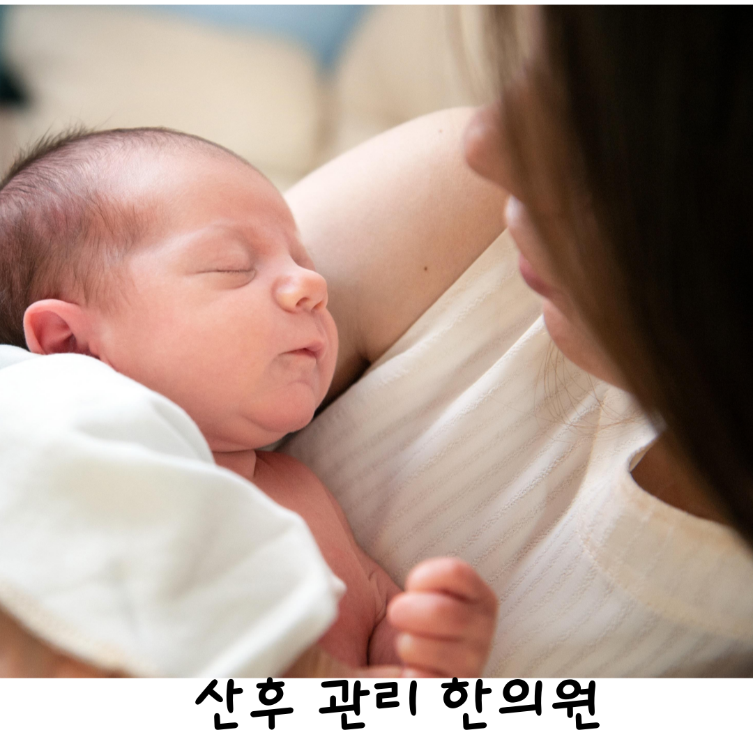 달서구산후조리,달서구산후다이어트,임신중비만다이어트,월배산후다이어트