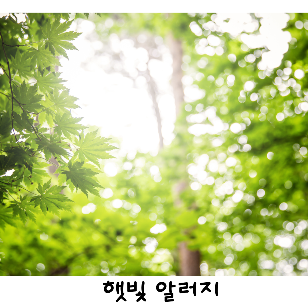 콜린성두드러기한의원, 아토피한의원, 두드러기잘하는한의원, 월배두드러기한의원, 햇빛알러지한의원