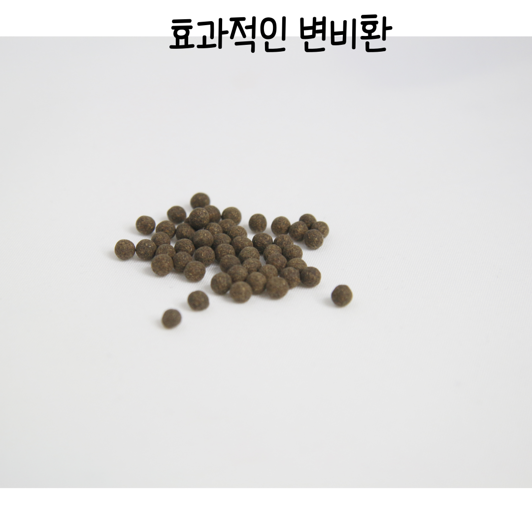 월배변비환,달서구변비환,효과빠른변비환,변비환약,달서구한약