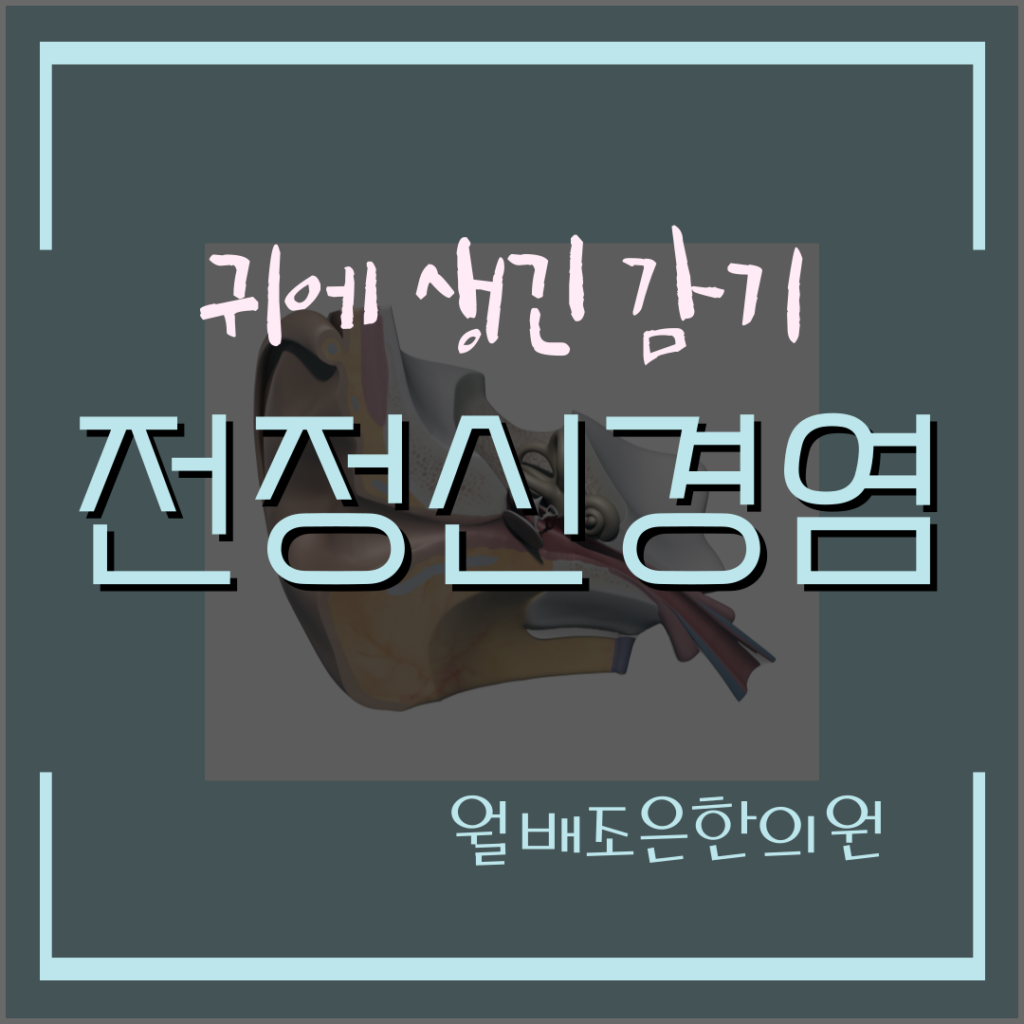 전정신경염은 전정에서 발생한 염증으로 인해 어지럼증, 구통, 이명등의 증상이 발생하는 질환입니다.
 귀에 생긴 감기인 전정신경염 치료를 위해 월배조은한의원에 내원하세요.