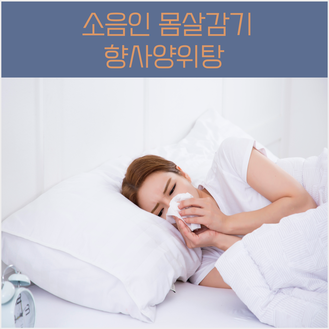 소음인한약, 향사양위탕, 사상체질별한약, 한약처방한의원