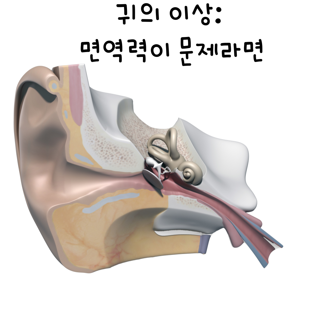 돌발성난청한의원,이명한의원,달서구한의원,두개천골한의원