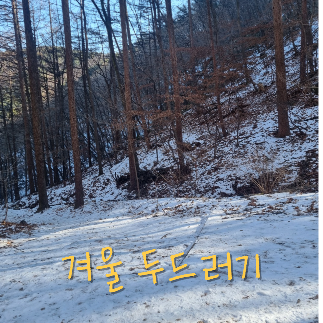 한랭두드러기,겨울두드러기,콜린성두드러기,월배두드러기,달서구두드러기