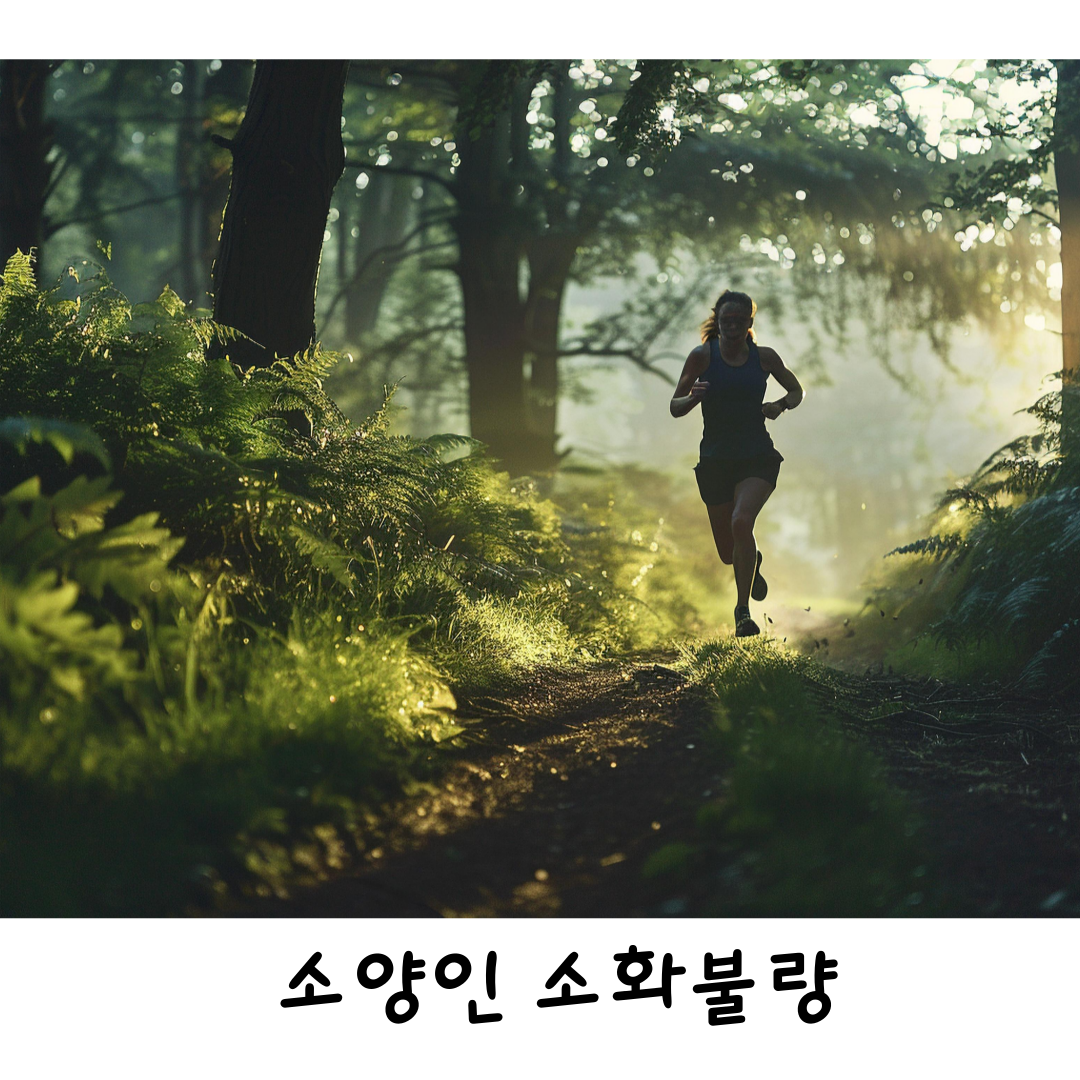 소양인소화불량한의원,사상진단한의원,달서구사상체질,월배사상체질